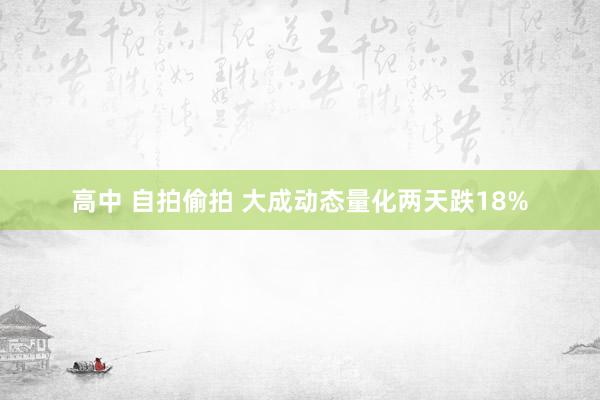 高中 自拍偷拍 大成动态量化两天跌18%