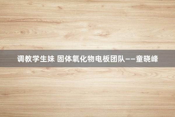 调教学生妹 固体氧化物电板团队——童晓峰