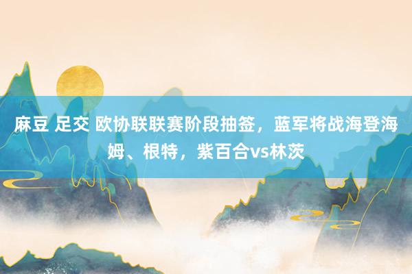麻豆 足交 欧协联联赛阶段抽签，蓝军将战海登海姆、根特，紫百合vs林茨