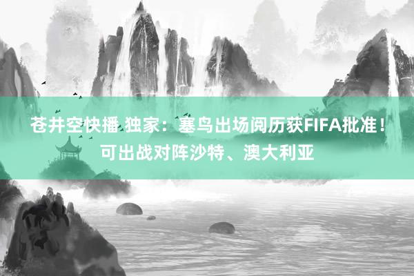 苍井空快播 独家：塞鸟出场阅历获FIFA批准！可出战对阵沙特、澳大利亚